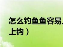 怎么釣魚魚容易上鉤 視頻（怎么釣魚魚容易上鉤）
