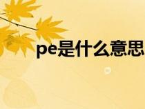 pe是什么意思電工（pe是什么意思）