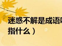 迷惑不解是成語嗎?的意思是什么（迷惑不解指什么）