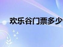 歡樂谷門票多少錢一位（歡樂谷門票價）