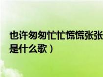 也許匆匆忙忙慌慌張張是什么歌曲（也許匆匆忙忙慌慌張張是什么歌）