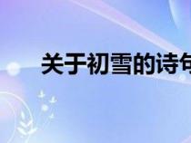 關(guān)于初雪的詩(shī)句（初雪的寓意和象征）