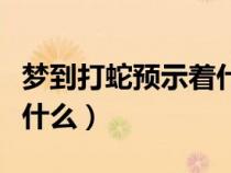 夢到打蛇預示著什么蛇跑了（夢到打蛇預示著什么）