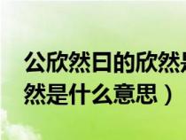 公欣然曰的欣然是什么意思?（公欣然曰的欣然是什么意思）