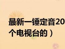 最新一錘定音2021鑒寶（鑒寶一槌定音是哪個電視臺的）