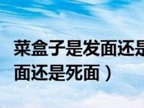 菜盒子是發(fā)面還是死面哪個(gè)是好(菜盒子是發(fā)面還是死面) 菜盒子是發(fā)面還是死面哪個(gè)是好(菜盒子是發(fā)面還是死面)