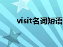 visit名詞短語（visit的名詞是什么）