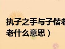 執(zhí)子之手與子偕老的出處是哪（執(zhí)之手與子偕老什么意思）