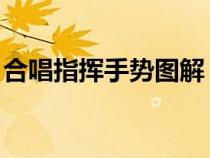 合唱指揮手勢圖解 初學(xué)(合唱指揮手勢教程) 合唱指揮手勢圖解 初學(xué)(合唱指揮手勢教程)