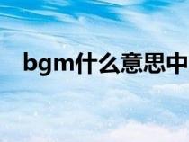 bgm什么意思中文意思（bgm什么意思）