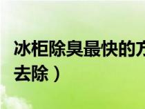 冰柜除臭最快的方法（冰箱停電肉腐臭味怎么去除）