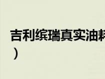 吉利繽瑞真實(shí)油耗車主分享（吉利繽瑞耗油量）