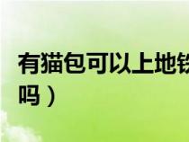 有貓包可以上地鐵嗎蘇州（有貓包可以上地鐵嗎）