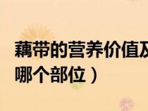 藕帶的營養(yǎng)價值及功效與作用（藕帶是蓮藕的哪個部位）