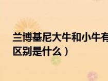 蘭博基尼大牛和小牛有什么區(qū)別?（蘭博基尼大牛與小牛的區(qū)別是什么）