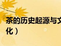 茶的歷史起源與文化教案（茶的歷史起源與文化）