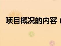 項(xiàng)目概況的內(nèi)容（項(xiàng)目概況包括哪些內(nèi)容）