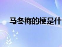 馬冬梅的梗是什么意思（馬冬梅什么梗）