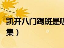 凱開八門踢斑是哪一集（凱開八門打斑是哪一集）