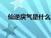 仙逆戾氣是什么意思（戾氣是什么意思）