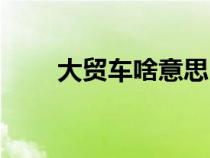 大貿(mào)車啥意思（大貿(mào)車是什么意思）