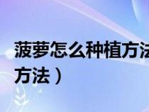 菠蘿怎么種植方法水養(yǎng)可以嗎（菠蘿怎么種植方法）