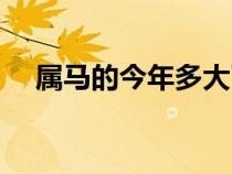 屬馬的今年多大了（屬狗的今年多大了）