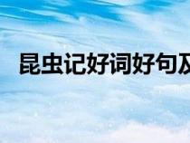 昆蟲記好詞好句及感悟（昆蟲記好詞好句）