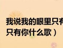 我說我的眼里只有你是什么歌（我說我的眼里只有你什么歌）
