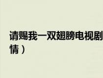 請賜我一雙翅膀電視劇劇情介紹（請賜我一雙翅膀電視劇劇情）
