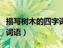 描寫樹木的四字詞語有哪些（描寫樹木的四字詞語）