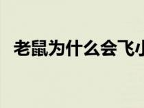 老鼠為什么會(huì)飛小視頻（老鼠為什么會(huì)飛）