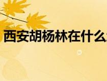 西安胡楊林在什么地方（胡楊林在什么地方）