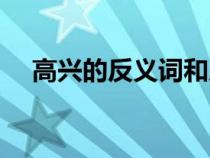 高興的反義詞和反義詞（高興的反義詞）