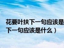 花要葉扶下一句應(yīng)該是什么這類的詞語還有什么（花要葉扶下一句應(yīng)該是什么）
