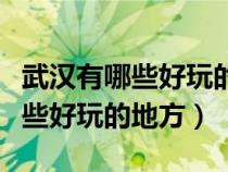 武漢有哪些好玩的地方適合年輕人（武漢有哪些好玩的地方）