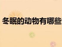 冬眠的動物有哪些圖片（冬眠的動物有哪些）