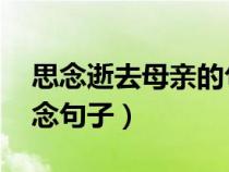 思念逝去母親的句子 經(jīng)典（對已逝父親的思念句子）