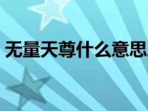 無量天尊什么意思股票（無量天尊什么意思）