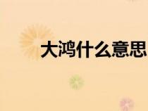 大鴻什么意思（大鴻臚是什么官職）
