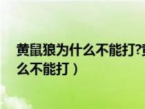 黃鼠狼為什么不能打?黃鼠狼成精的真實事件（黃鼠狼為什么不能打）