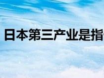 日本第三產(chǎn)業(yè)是指什么（第三產(chǎn)業(yè)是指什么）