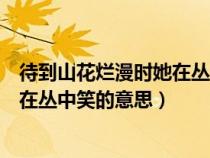 待到山花爛漫時(shí)她在叢中笑的意思的她（待到山花爛漫時(shí)她在叢中笑的意思）