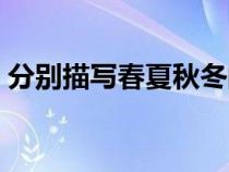 分別描寫春夏秋冬的成語（春夏秋冬的成語）