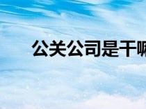 公關(guān)公司是干嘛的(公關(guān)是什么意思) 公關(guān)公司是干嘛的(公關(guān)是什么意思)
