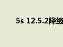5s 12.5.2降級(jí)（5s降級(jí)10.3.3教程）