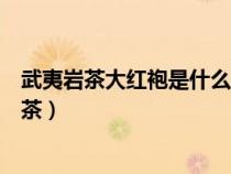 武夷巖茶大紅袍是什么類型的茶（大紅袍武夷巖茶屬于什么茶）