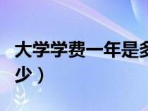 大學(xué)學(xué)費(fèi)一年是多少錢（大學(xué)學(xué)費(fèi)一年大概多少）