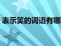 表示笑的詞語有哪些四個字（表示笑的詞語）