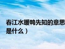 春江水暖鴨先知的意思是什么生肖（春江水暖鴨先知的意思是什么）